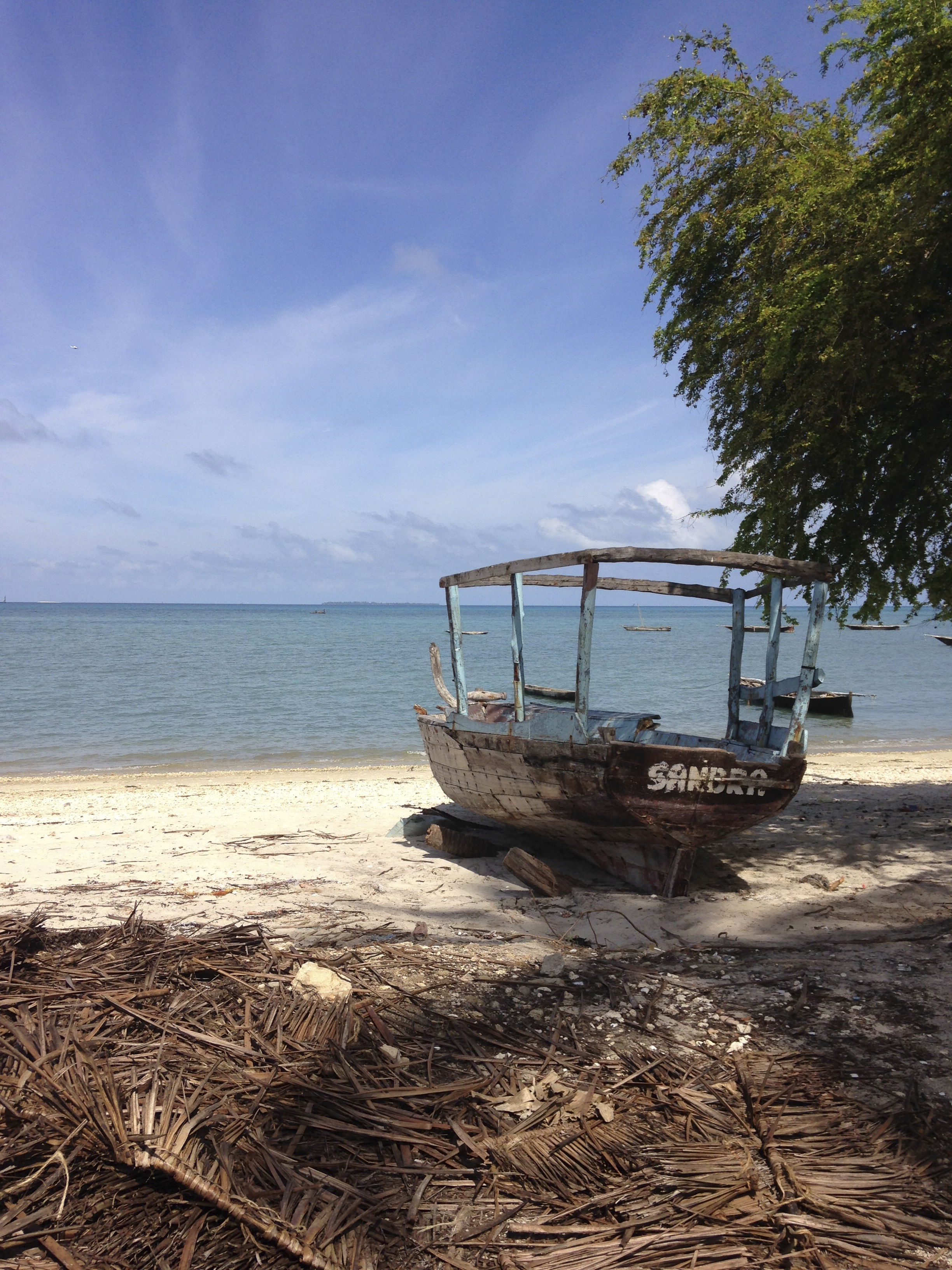 Explore the Magic of Mafia Island: Unforgettable Adventures Await at Kileleni